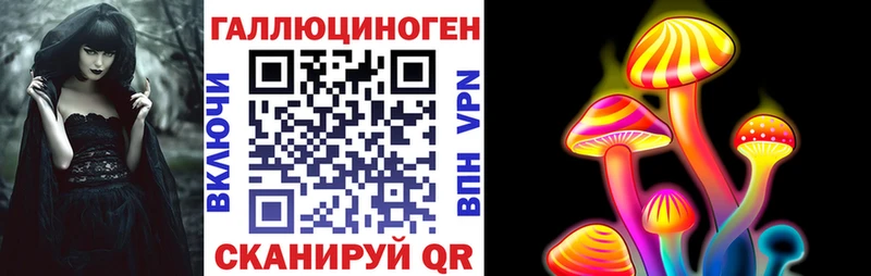 Псилоцибиновые грибы Cubensis  купить наркотик  Элиста 